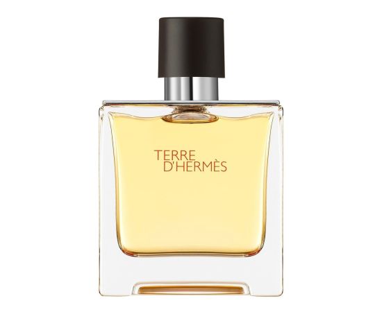 Hermes Terre D'Hermes Edp Spray 75 ml