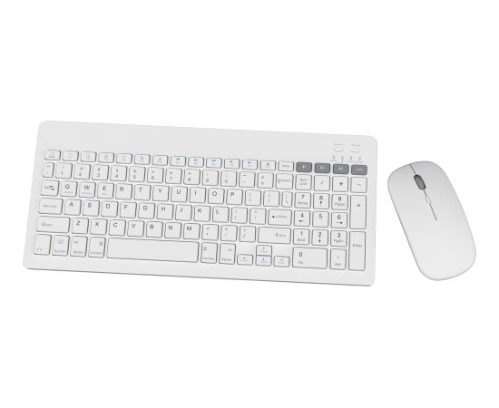 Omega wireless keyboard + mouse OKM2658W US