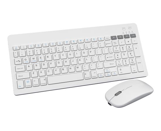 Omega wireless keyboard + mouse OKM2658W US