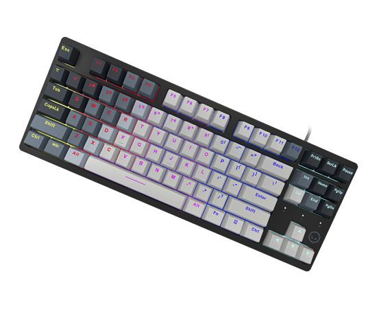 LORGAR Azar 514TKL, Wired RGB mechanical gaming keyboard, white, EN layout