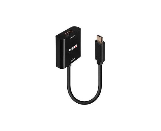 Lindy - video adapteris - 24 pin USB-C uz DisplayPort - 21 cm