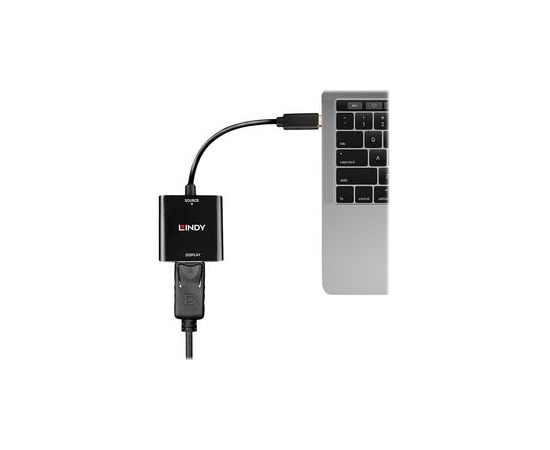 Lindy - video adapteris - 24 pin USB-C uz DisplayPort - 21 cm