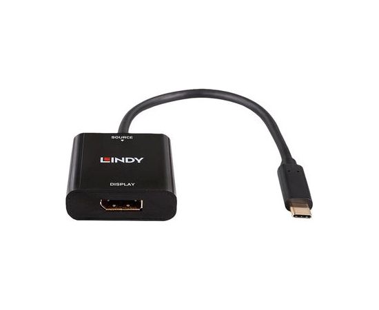 Lindy - video adapteris - 24 pin USB-C uz DisplayPort - 21 cm