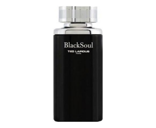 Ted Lapidus Black Soul Edt Spray 100ml