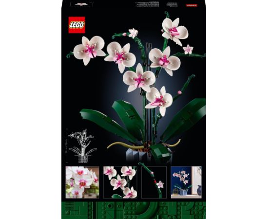 LEGO Icons Expert Orchidea 3szt. (10311)