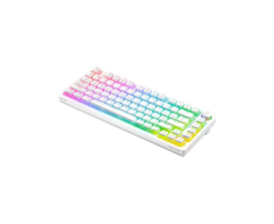 Klaviatūra Savio Wireless Mechanical Phenix White 75% Outemu Red Pro Pudding