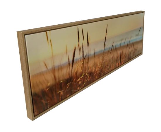 Wall art WALLY 30x90cm, rushes
